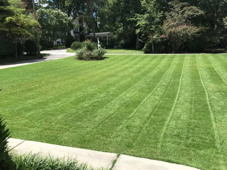 Residential - Lawn Mowing - Coiumbia, SC