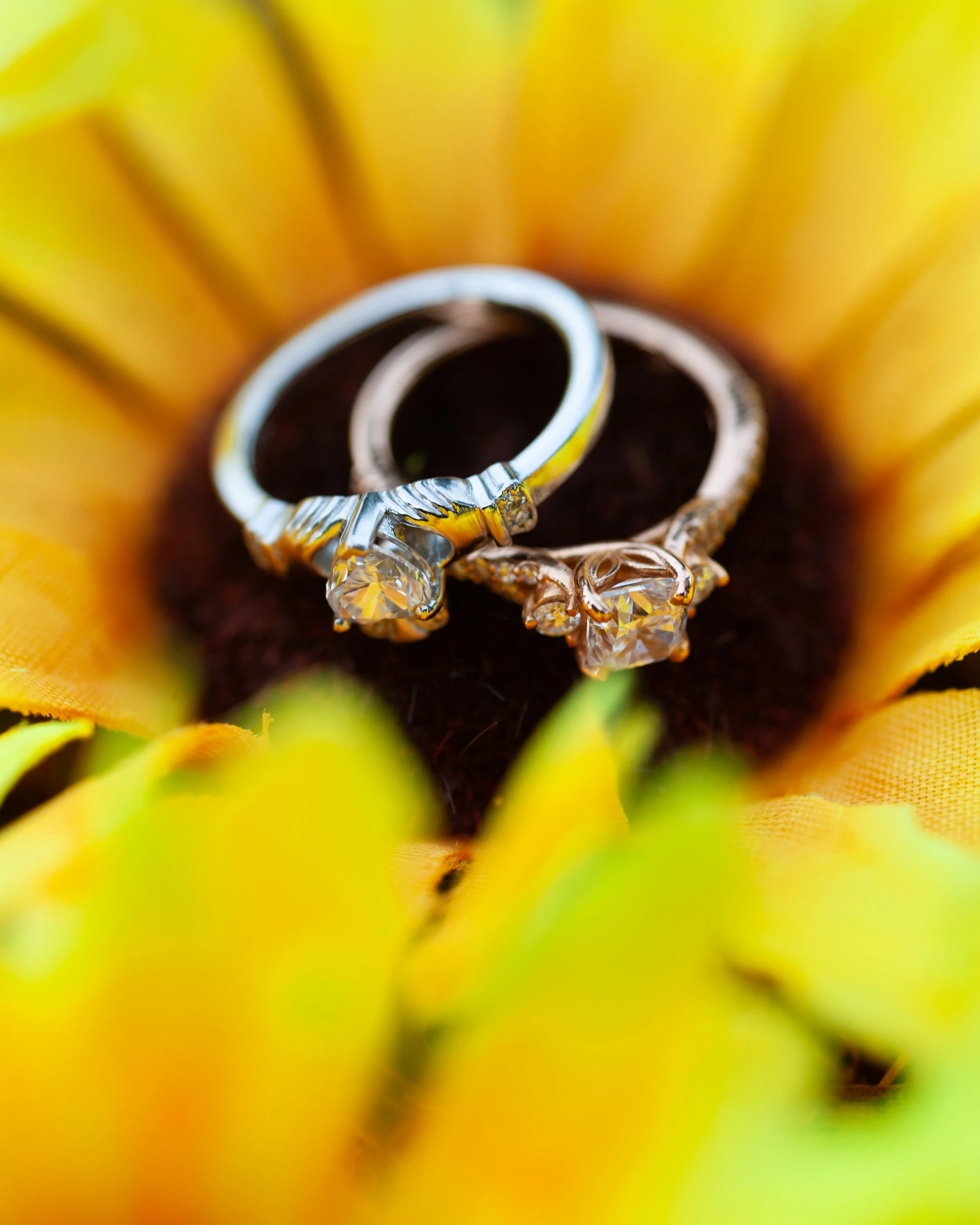 Mary Lane & Emily Proposal-2.jpg