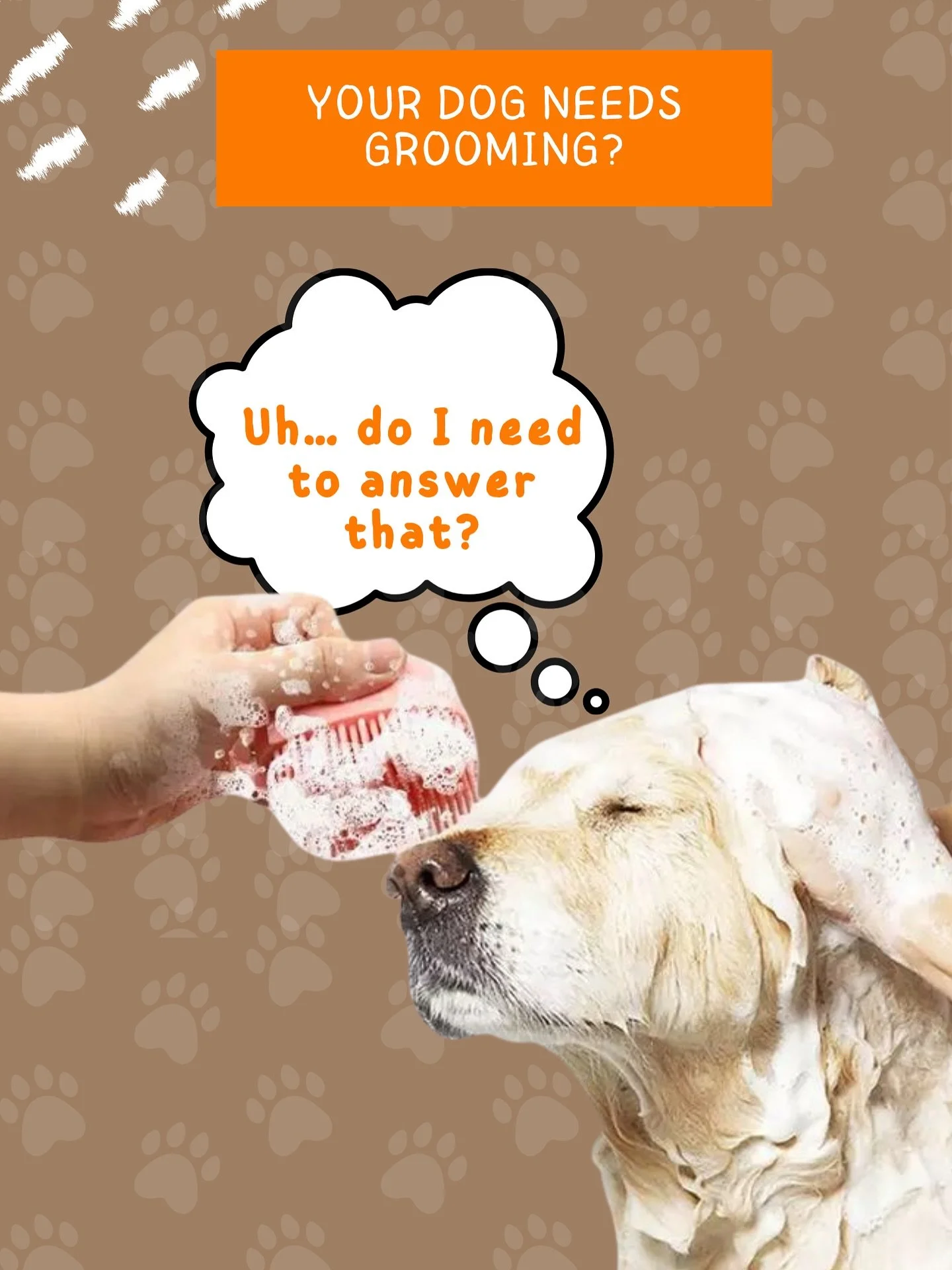 Not sure if it’s time for your pup’s next grooming session?
Here are 5 simple signs that your furry friend is asking for a grooming day!
From tangled fur to itchy skin, these tips will help you keep your dog healthy, comfortable, and look