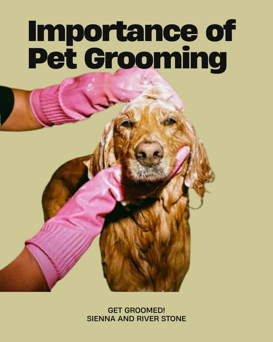 It’s more than just a bath, it’s care that keeps your pet healthy and
Hygienic grooming helps prevent infections, keeps the skin clean, and makes your pet feel comfortable every day.
Because real love shows in the little details, like a c