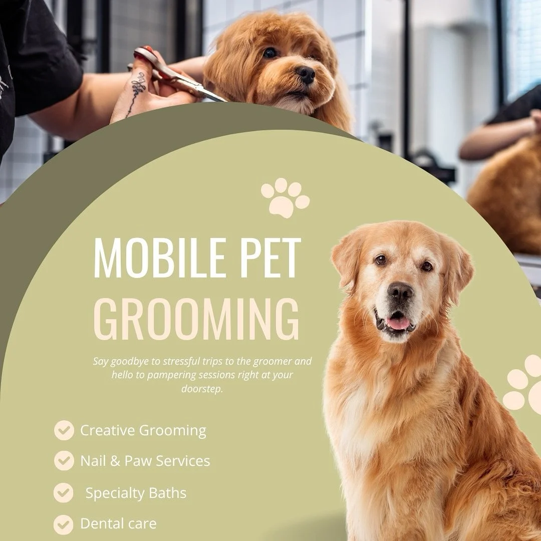 From stylish cuts to relaxing spa moments #mobilepet #mobilepetgroom
#MotherFluffersTX #PetGroomingSienna #FluffyPetsSienna #SiennaPetCare #GroomingLifeTX #HappyPetsSienna #MotherFluffersGrooming #PetLoversTexas #FluffAndFurTX #SiennaPets