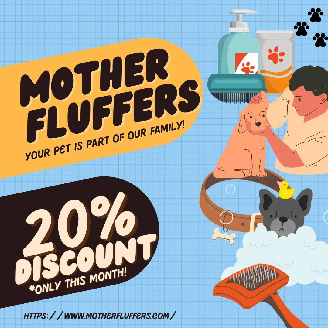 Because your pet is family, and family deserves the best.
This Thanksgiving, show your love with a little extra care. Enjoy 20% OFF on all services and give your furry family member the pampering they deserve.
After all, gratitude isn&rsquo;t just ab