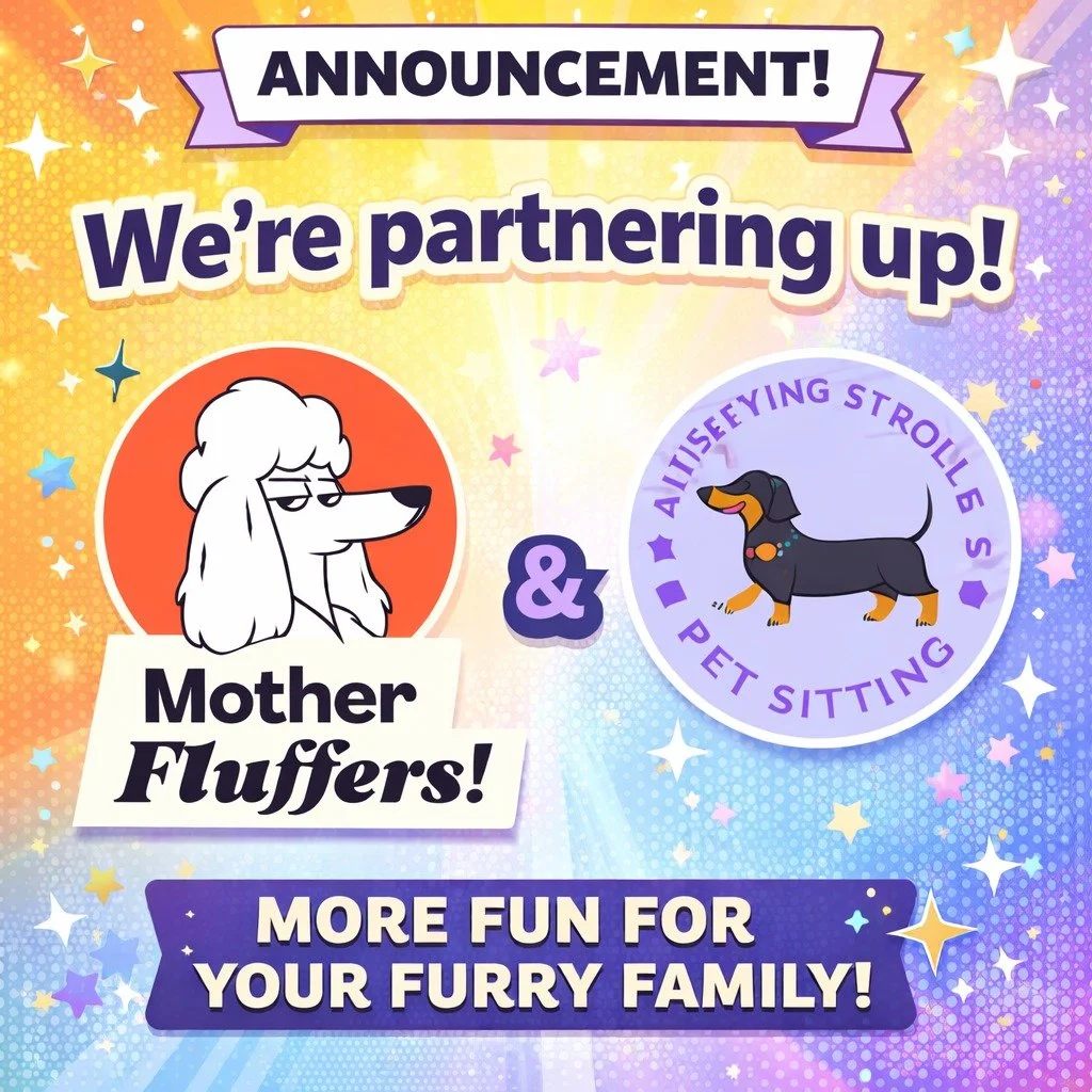 Your dog&rsquo;s social calendar just got BUSY 💅🐾

We&rsquo;re partnering with @SatisfyingStrolls Pet Sitting, which means:

They do the strollin&rsquo;
We do the fluffin&rsquo;
YOU get 25% OFF when you come to us referred by them 🎉

That&rsquo;s 