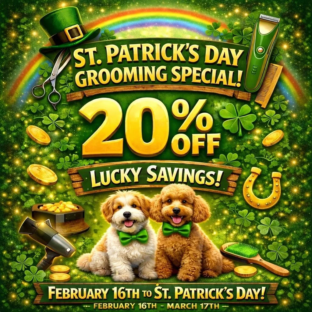 🍀✨ LUCKY SAVINGS ARE HERE! ✨🍀
Celebrate St. Patrick&rsquo;s Day with a fresh, fluffy pup! 🐾💚

🍀 20% OFF all grooming services
📅 February 16th &ndash; March 17th

Spots fill up fast&mdash;don&rsquo;t miss your chance to snag this paw-some deal!
