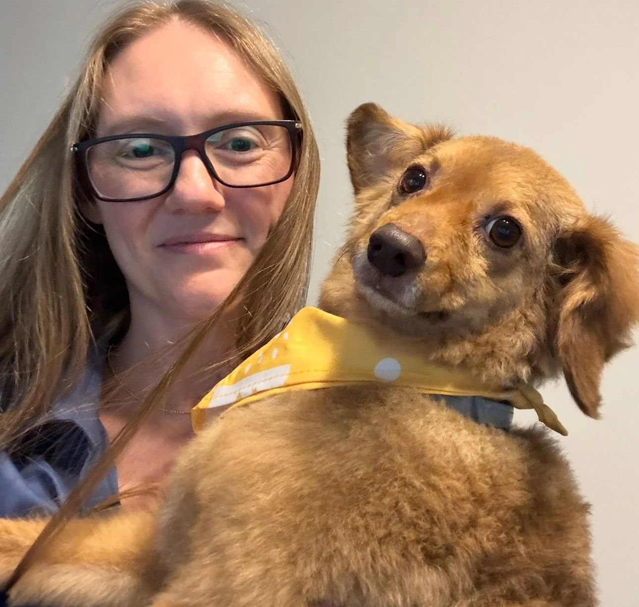 A woman with long hair, glasses, and a blue shirt is taking a selfie with a small brown dog wearing a yellow bandana. The woman is smiling gently, and the dog has a tilted head with a curious expression.