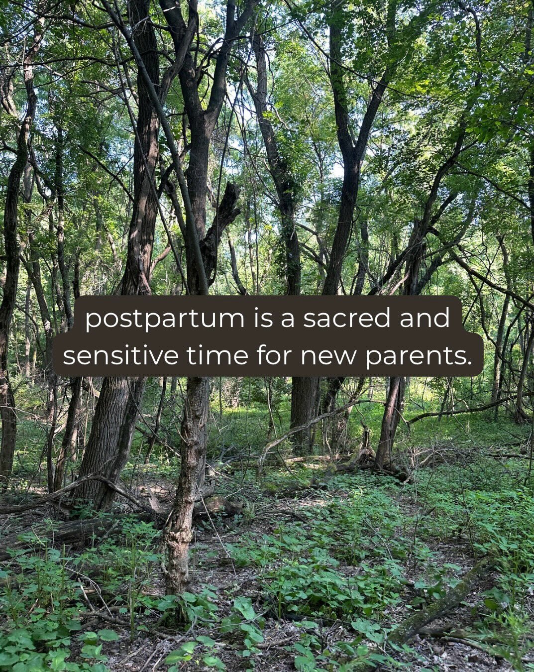 Postpartum is a beautiful time of bonding, healing, and connection. Amidst the beauty of having a newborn, there is a lot of strain on our nervous systems. After all, we are only human! We need support. Consider building yourself a support team that 