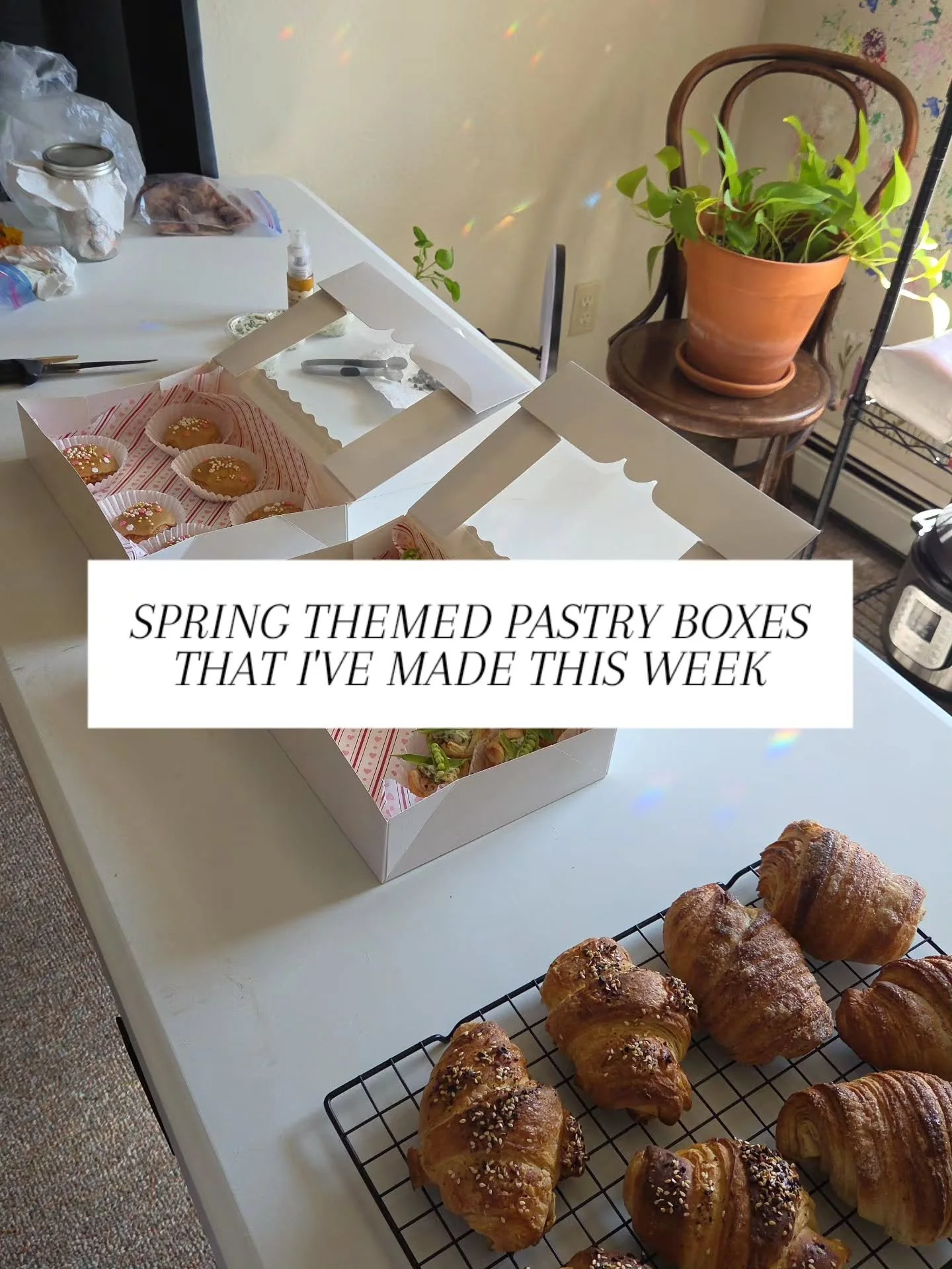 SPRING THEMED PASTRY BOXES I'VE MADE THIS WEEK!!! 🌱🌼

I was given creative freedom with these and couldn't stop from going all out! Super fun to put together and perfect for a brunch with family and friends!

WHAT I PUT IN MY BOXES!!

SWEET-
-Mini 
