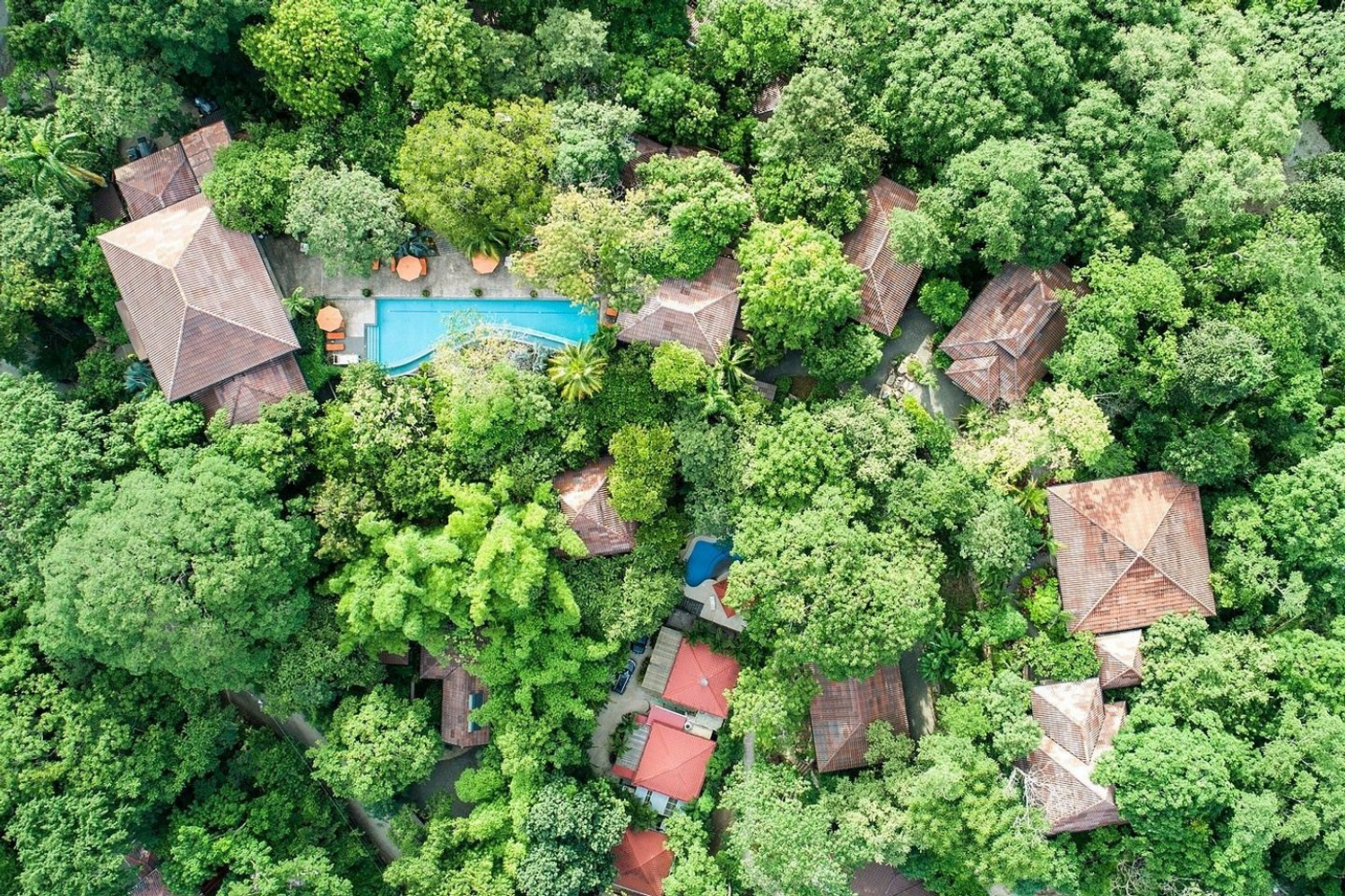 The Real Cost of Playing It Safe: Why You Can’t Afford to Skip Costa Rica