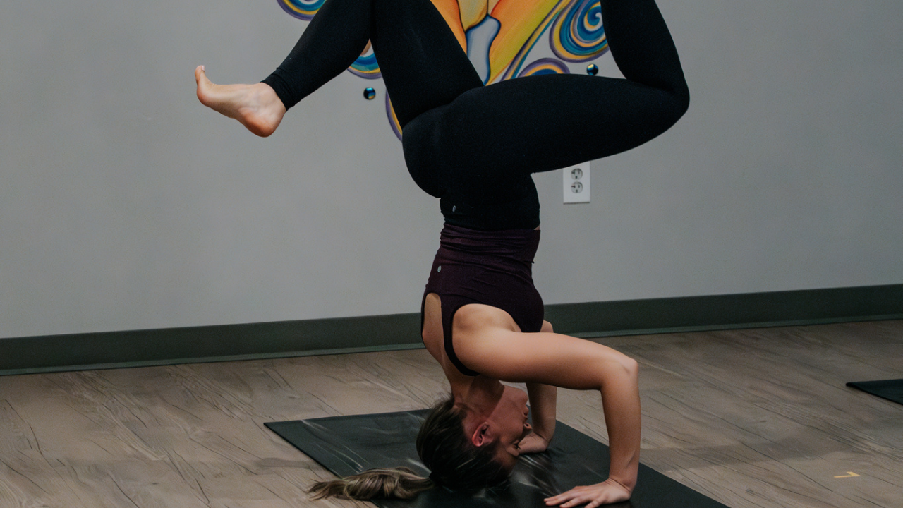 The Upside-Down Perspective: Why We Fly