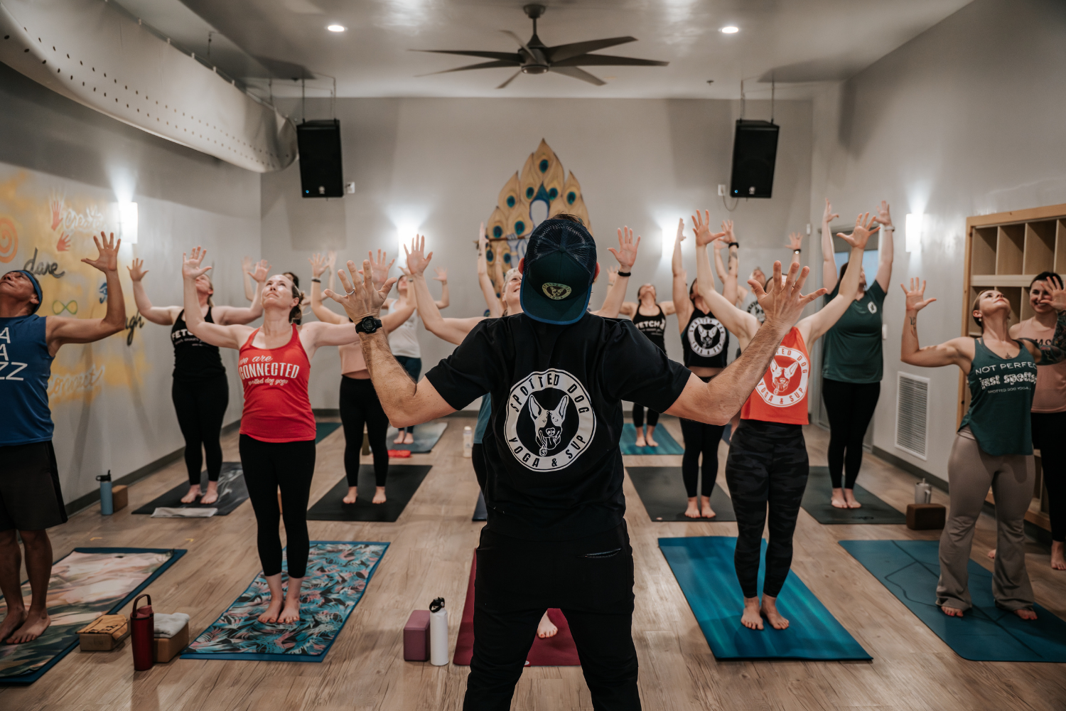 Why We Move the Way We Do