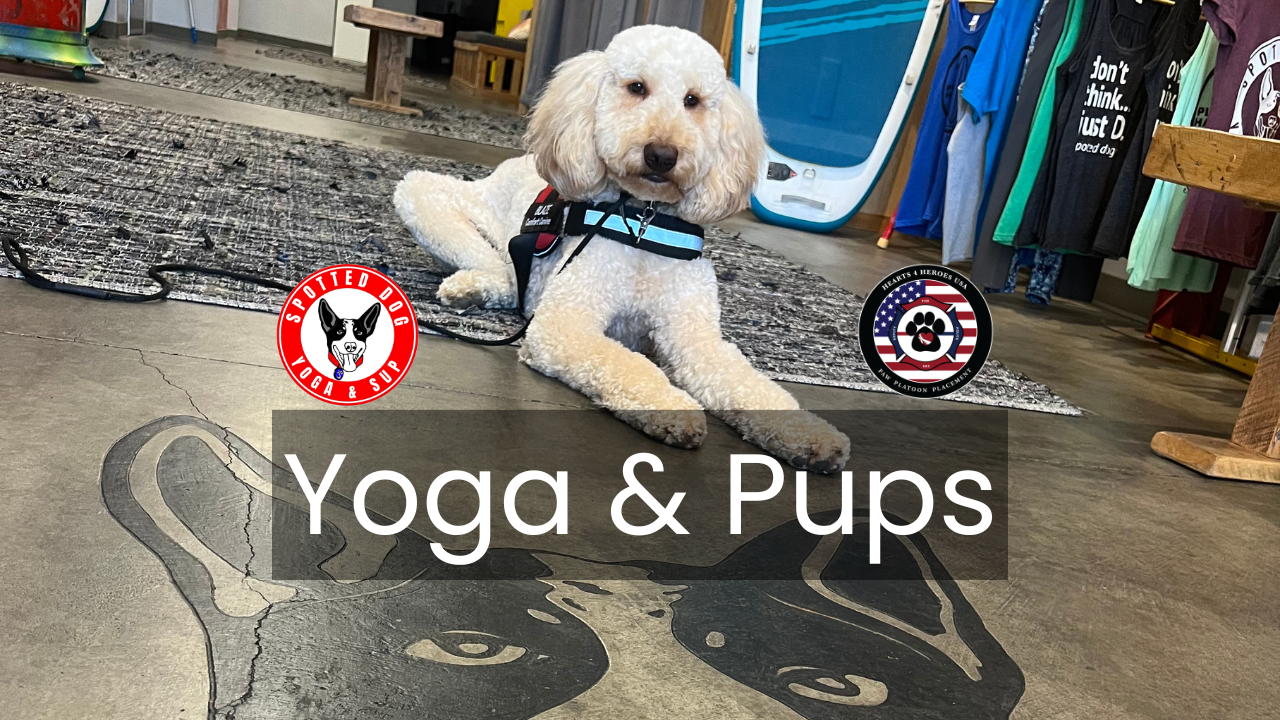 Move for a Mission: Yoga &amp; Pups with the Paw Platoon