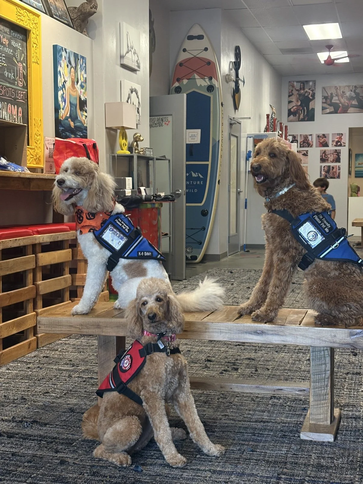 Yoga + Pups Brought the Pack Together for Our Heroes
