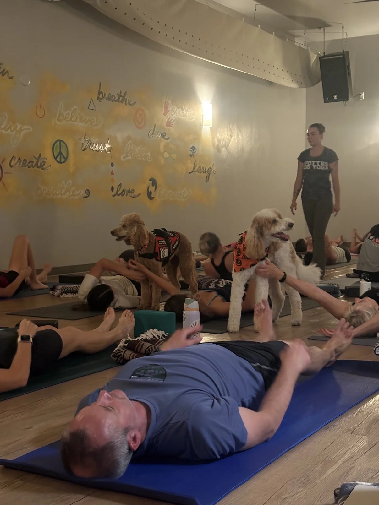 Two Paw Platoon therapy dogs in their vests mingle with students on their mats during the Yoga + Pups class