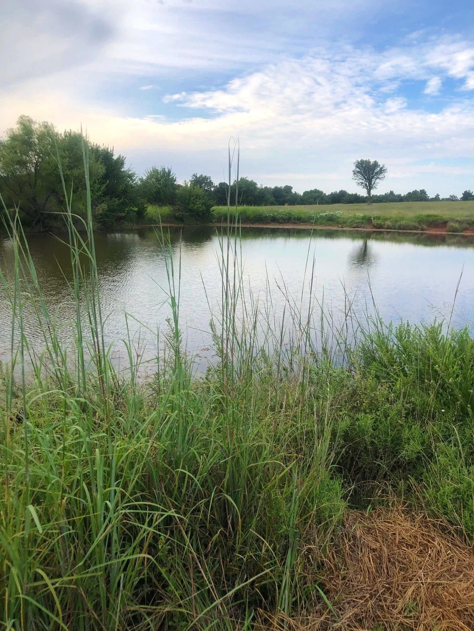 Pond+1+North+pond+2.jpg