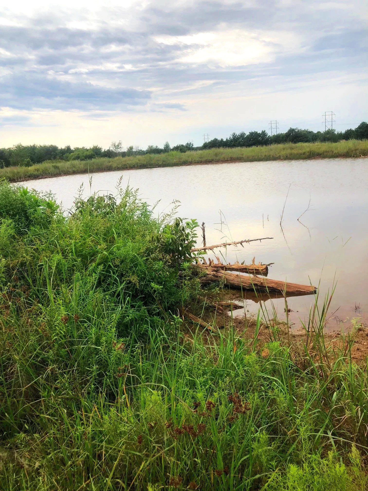 Pond+One+a.jpg