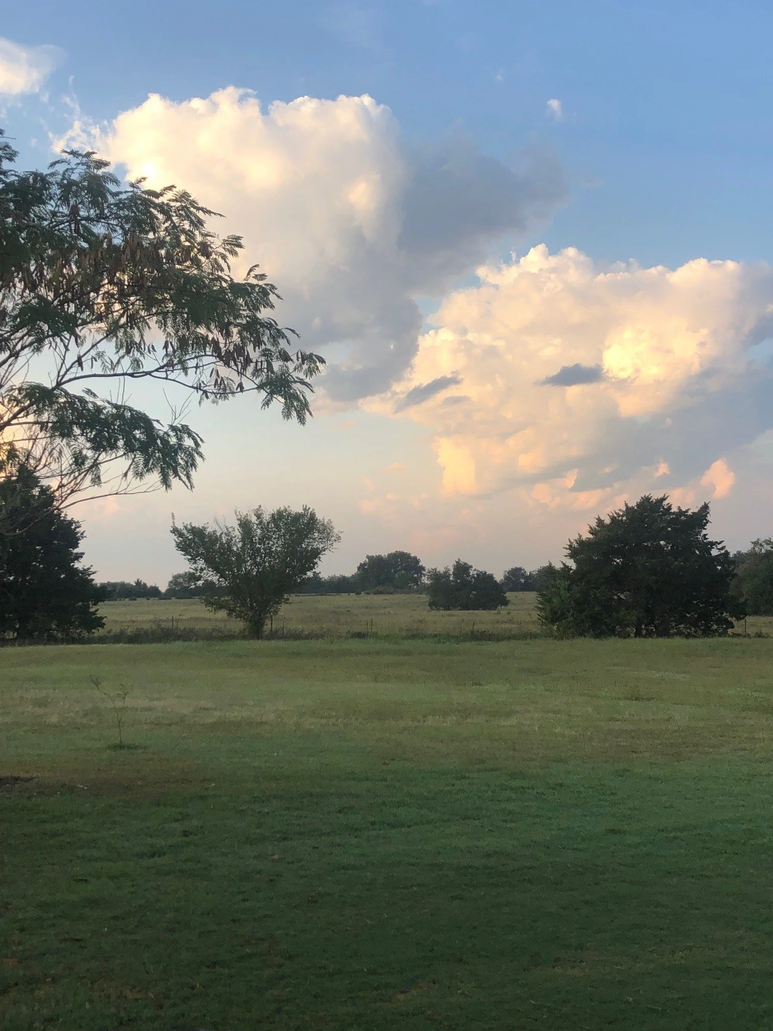 sky.jpg