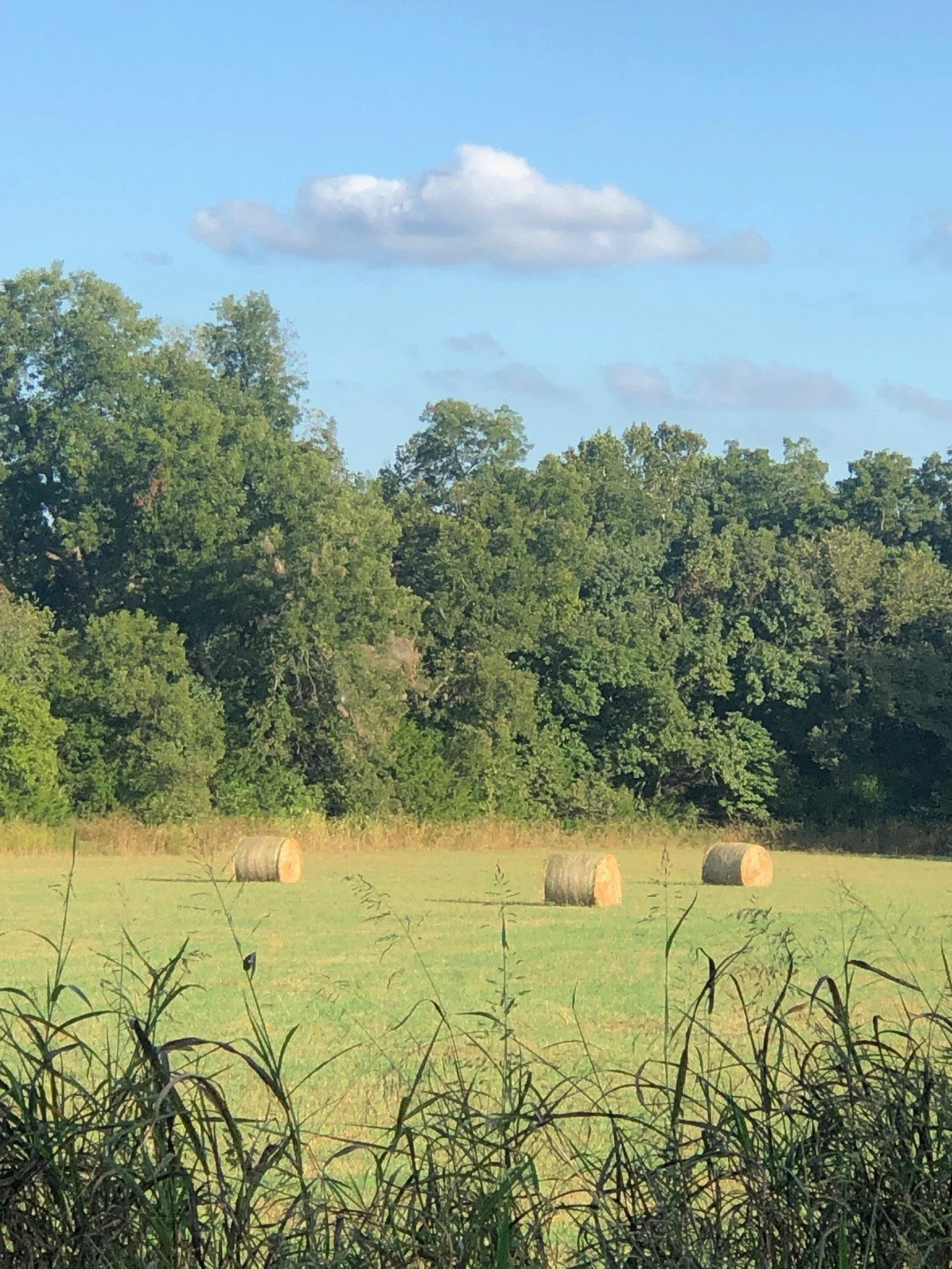 hay bales field.jpg