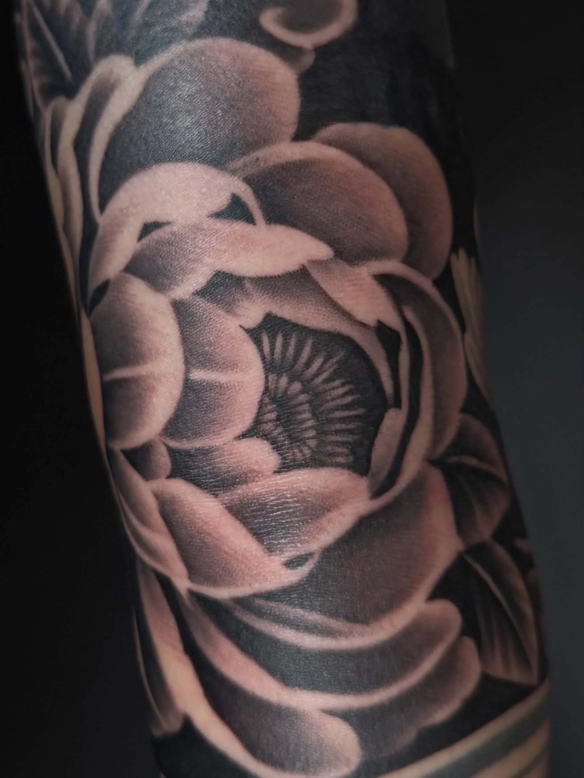 Tattoo by @khaiitattoo 
Booking dm/email @79tattoo__ 
Thank you for your trust

#tattoo #tattoos #tattooartists 
#ink #dmvtattooartist