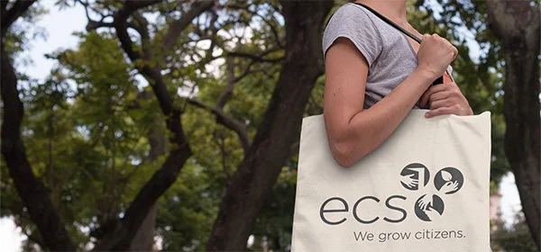 Defining a non-profit’s new voice: The Environmental Charter School