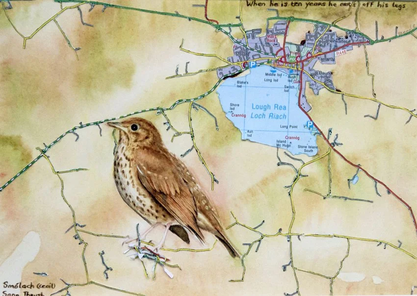 Songthrush, Watercolour on Paper, Sold