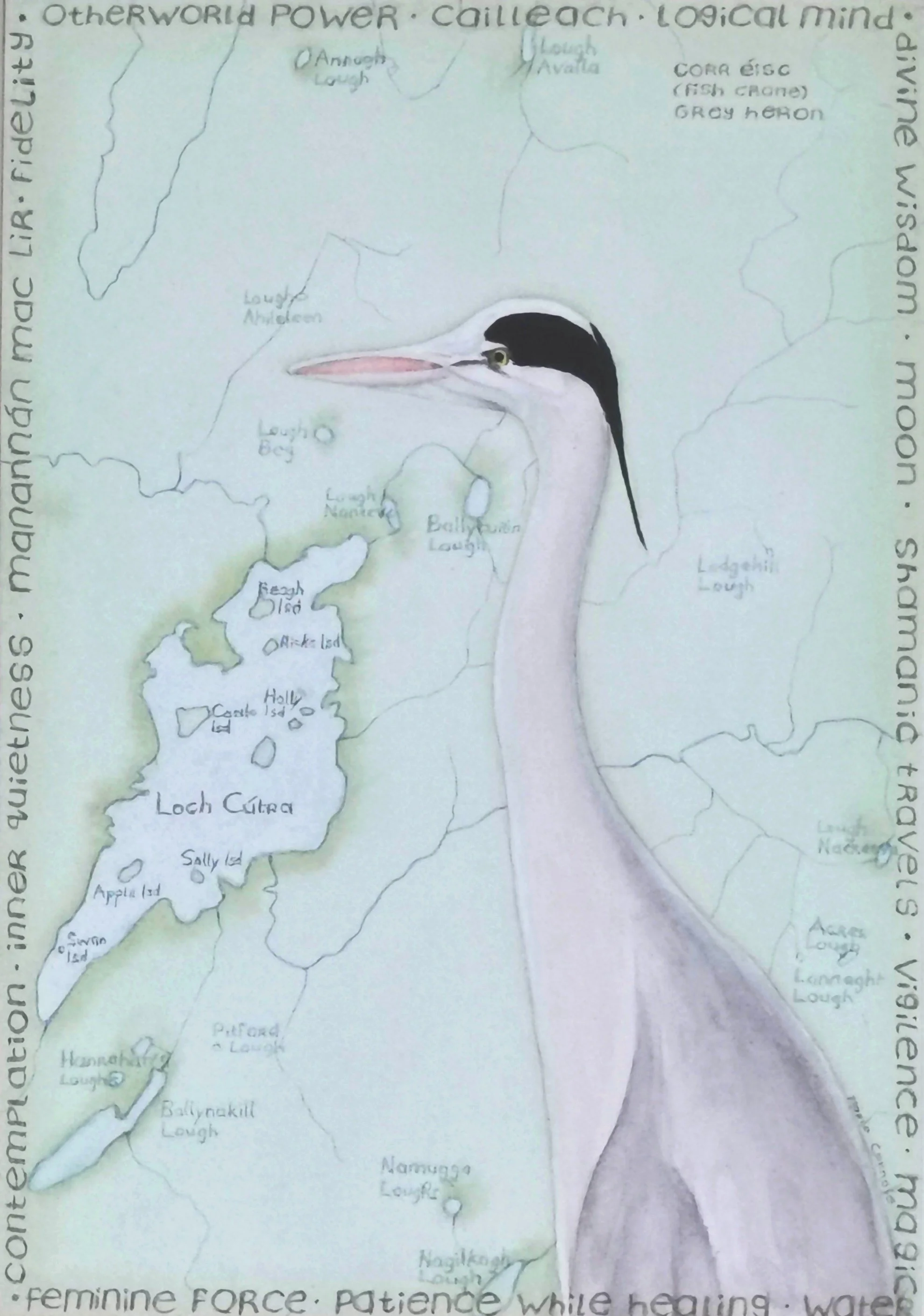 Heron, Watercolour on Paper, Sold