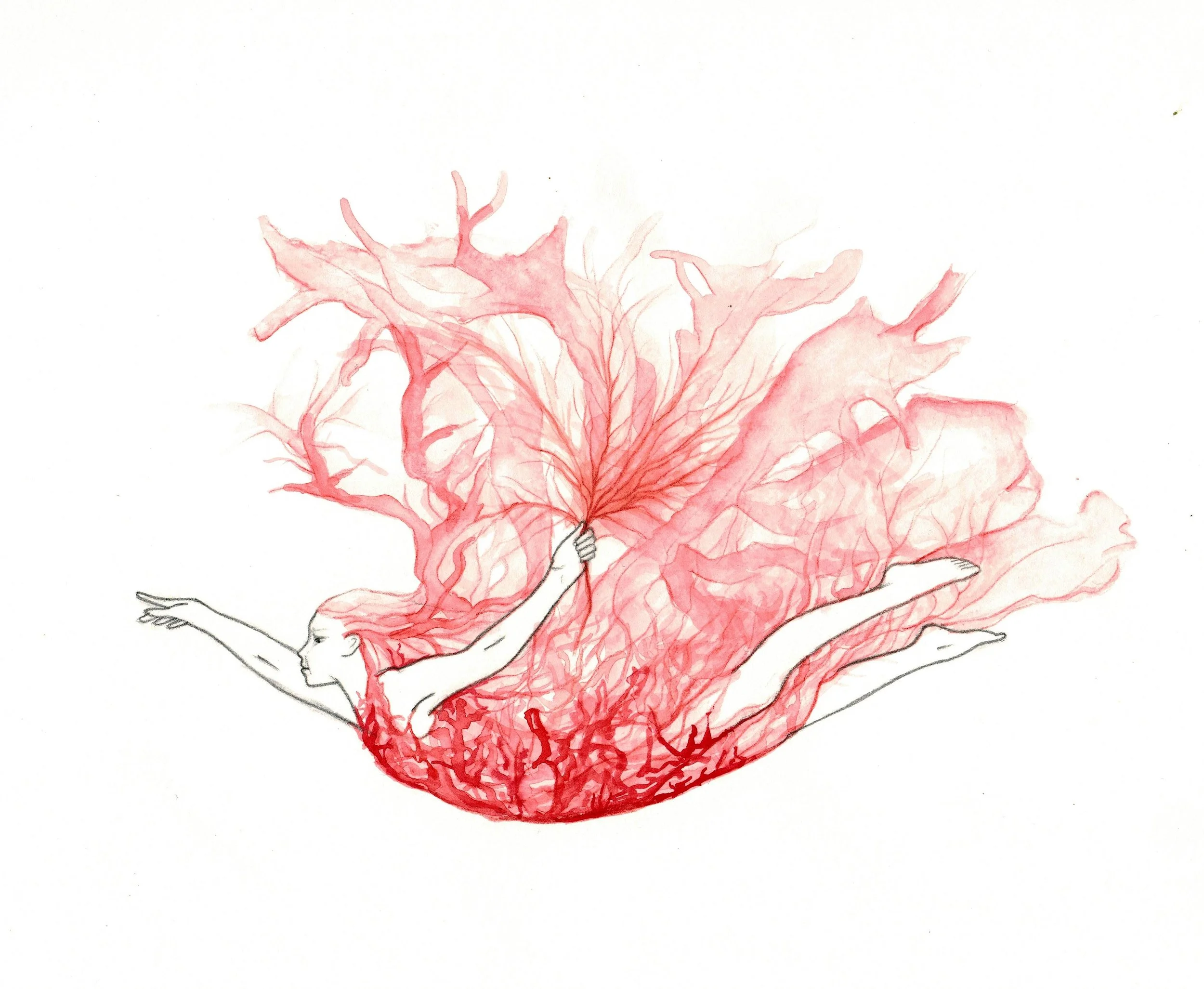 Carrageen Bliss, Watercolour on Paper, Sold