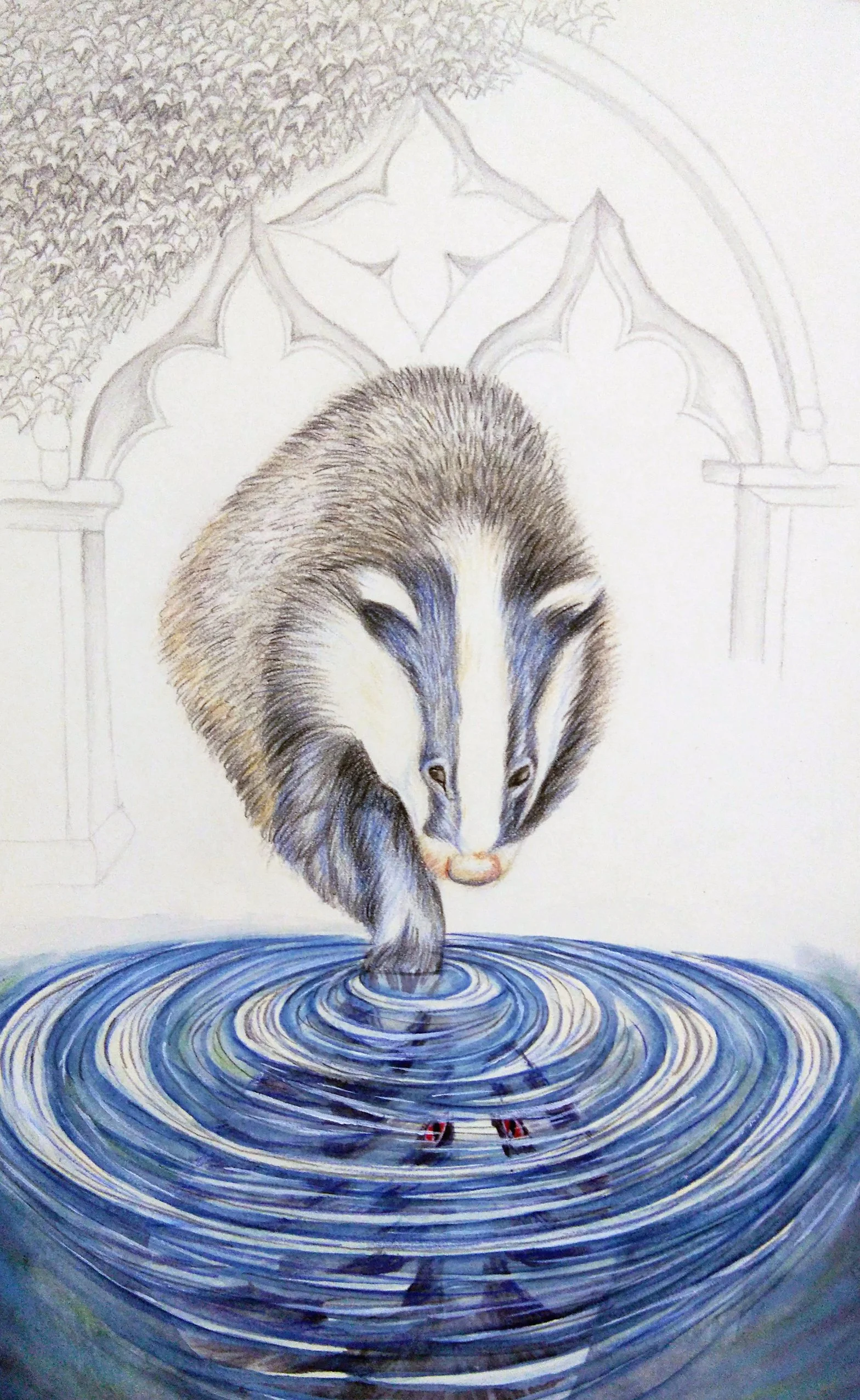Reflective Badger, Watercolour on Paper