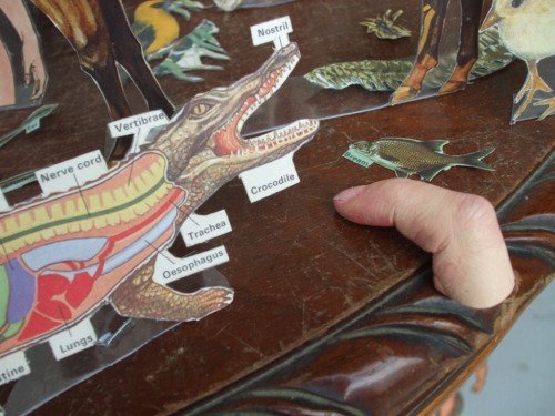 Creeping through the wonders(detail).jpg