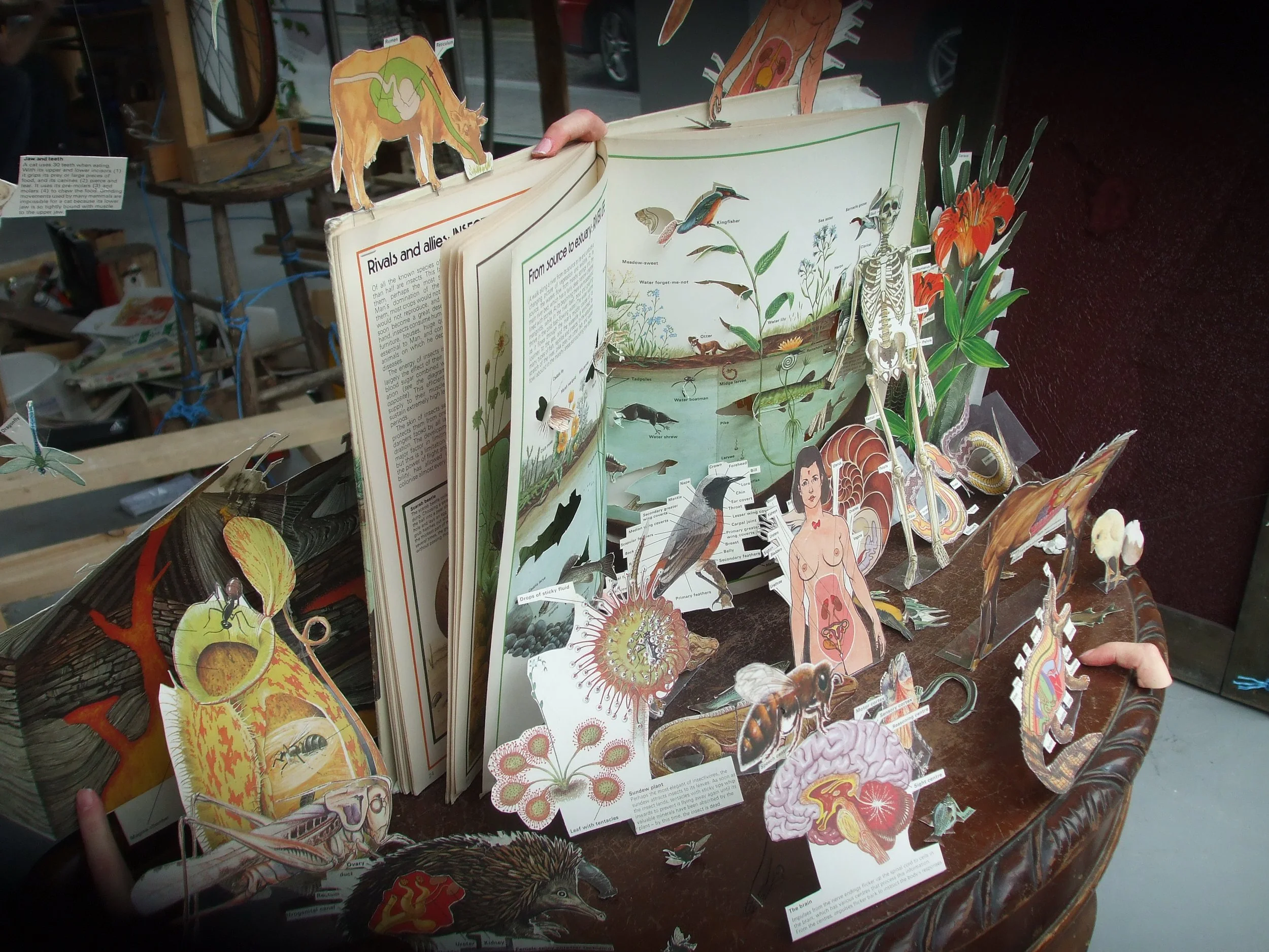 Creeping through the wonders.jpg