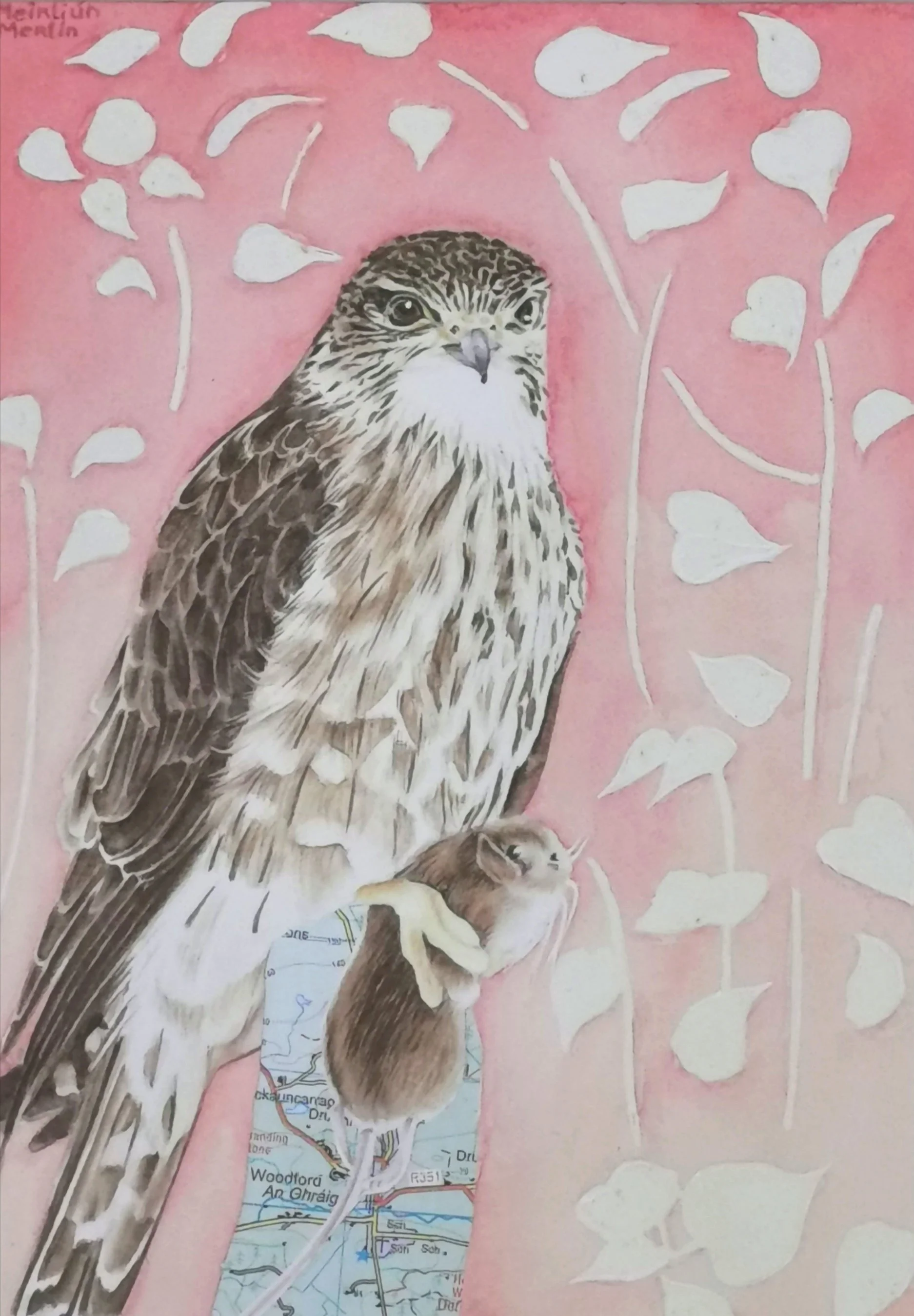Merlin, Watercolour on Paper, Sold