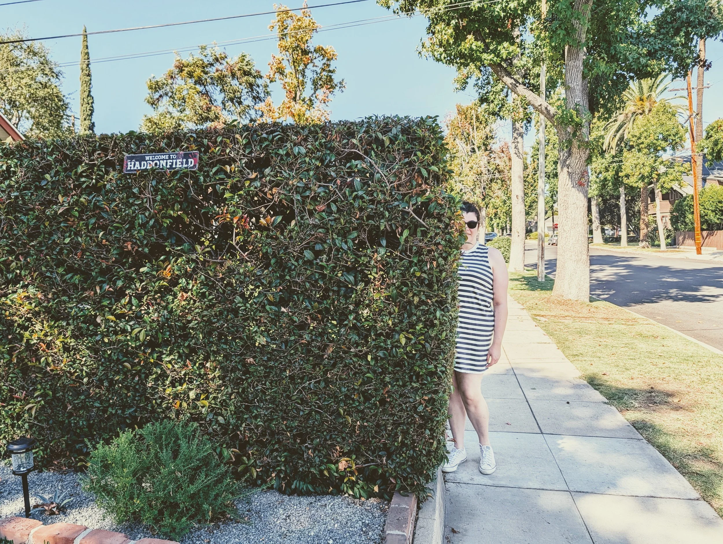 A woman in sunglasses and a striped dress standing behind a tall hedge on a sidewalk, with trees and street in the background. hedge from movie Halloween. murdery mystery