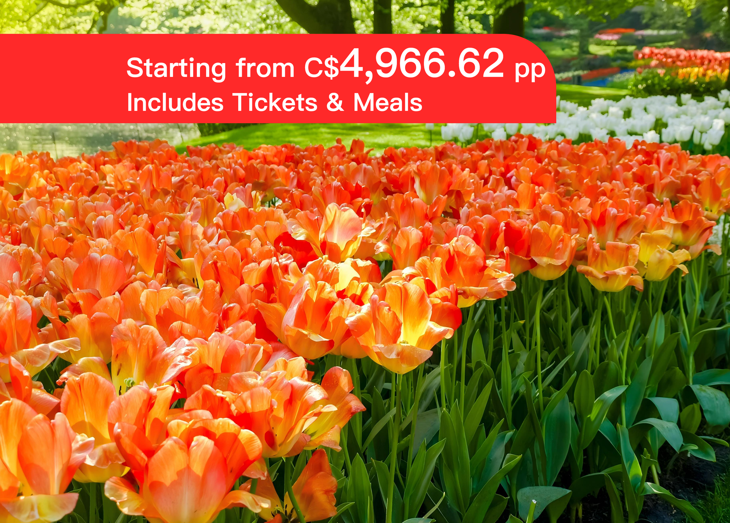 <10 Days> Germany, France, Luxembourg, Belgium, Netherlands Tulip Festival 10 Days 8 Nights – 2025