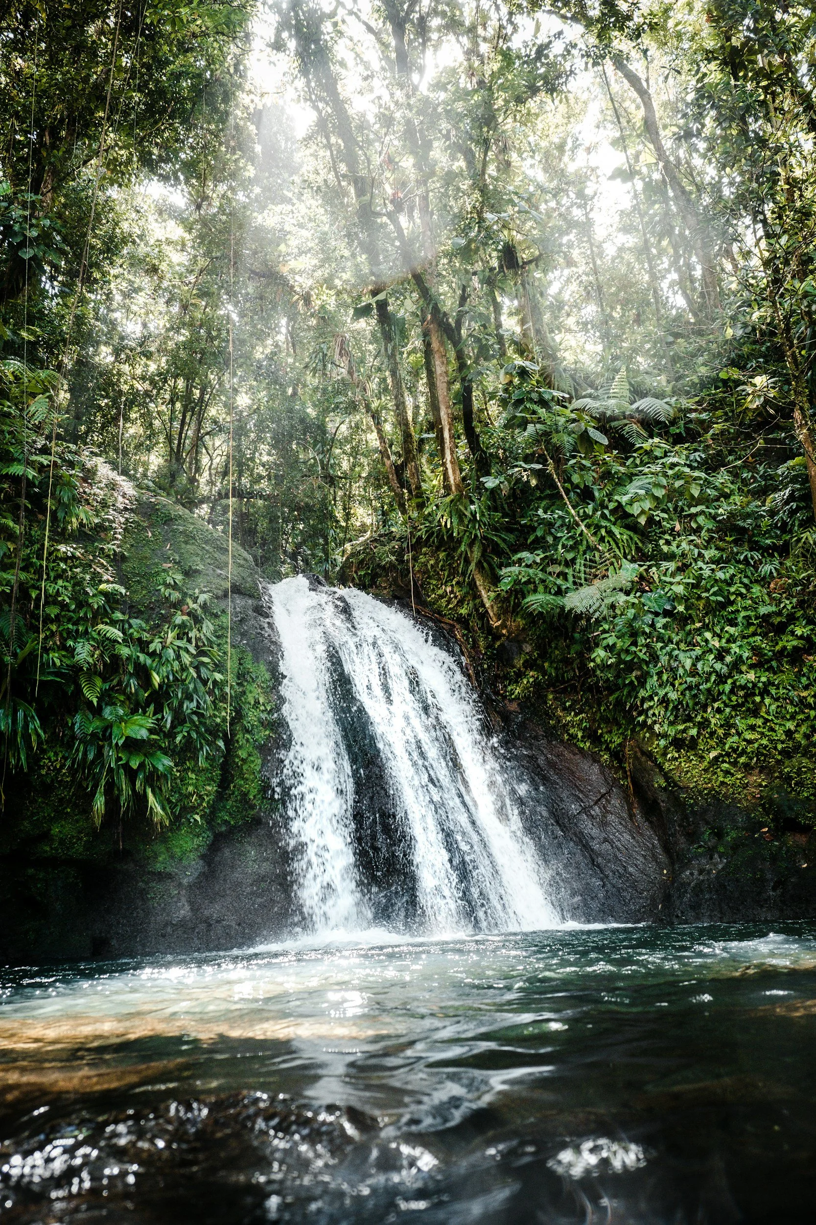 A waterfall flowing into a pool surrounded by lush green tropical rainforest with sunlight filtering through the trees.