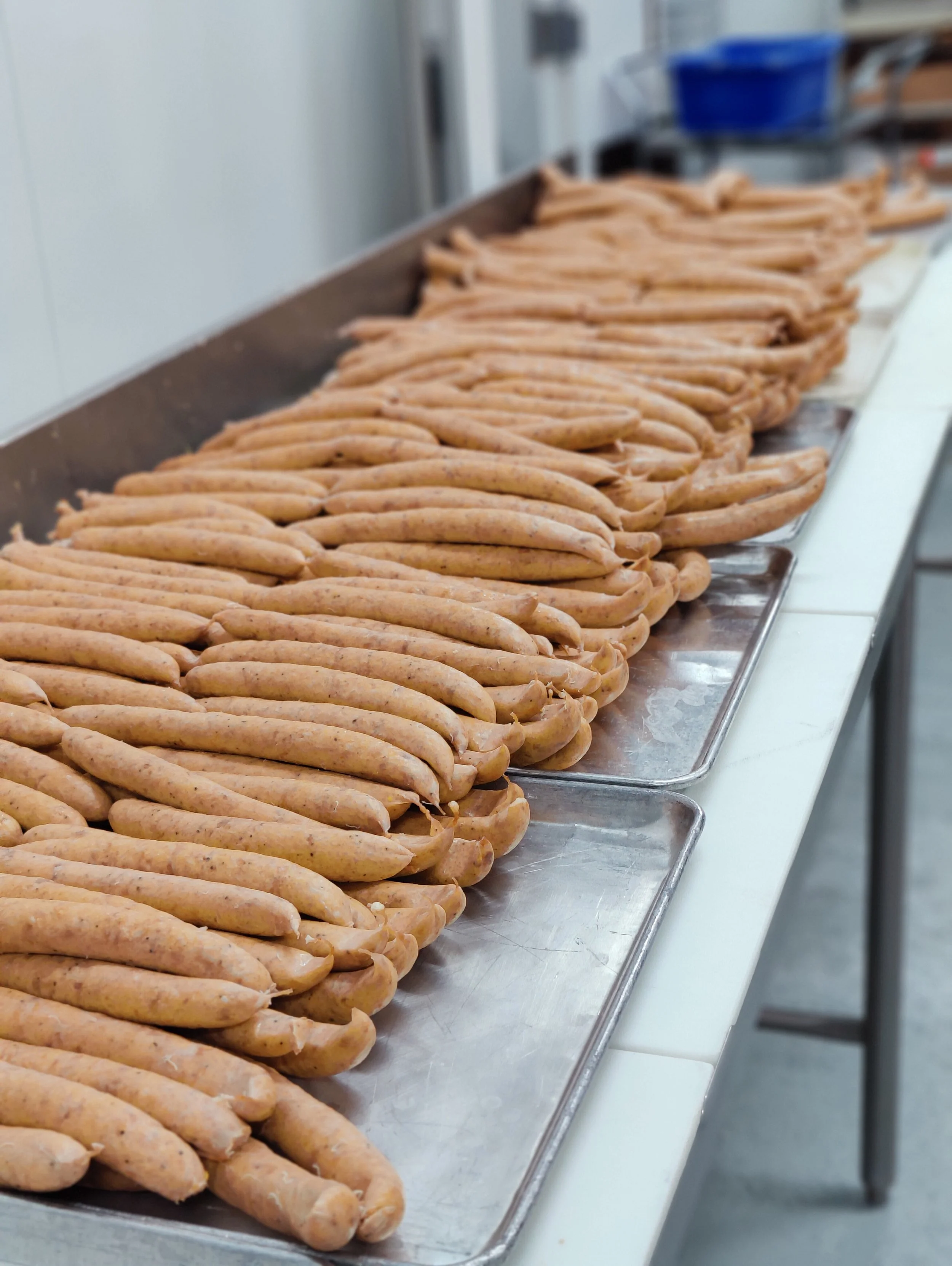 Rows of Alligator boudin lined on metal trays on a white table in a kitchen or food preparation area.