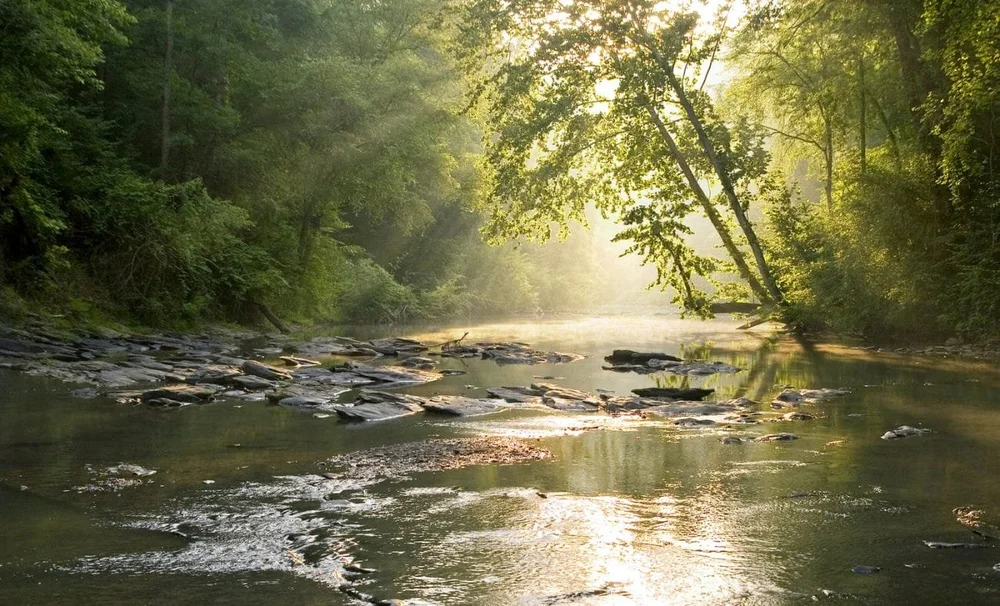 Home - Cahaba River Coalition