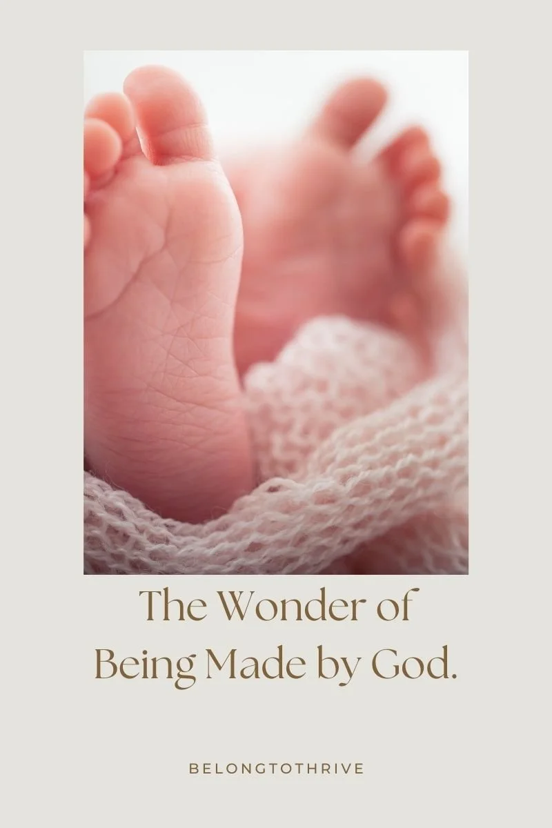 1.5 The Wonder of Being Made by God