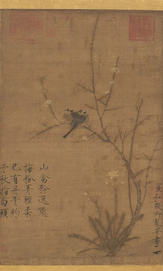 Chimonanthus and Birds