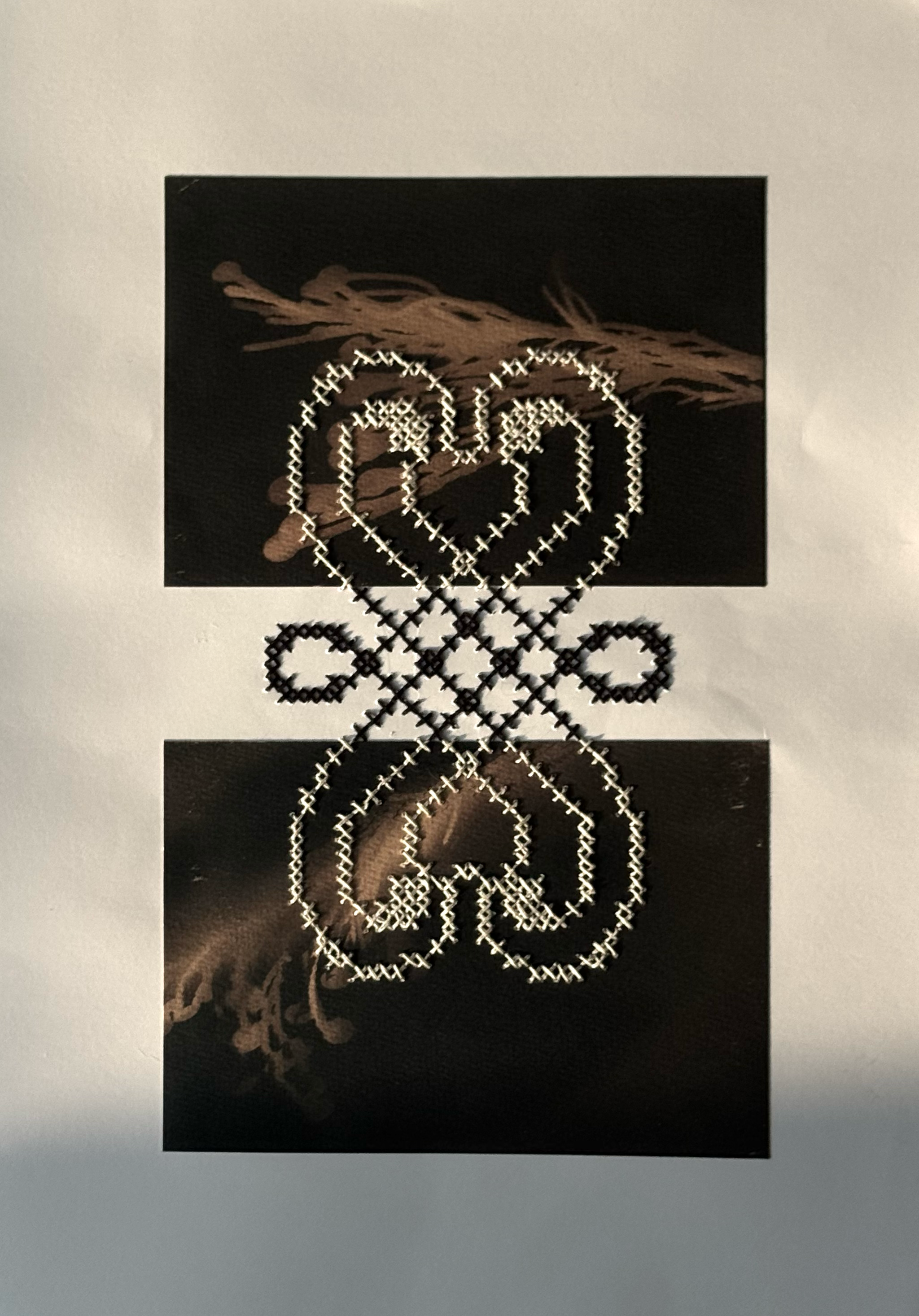 IMG_6705.PNG