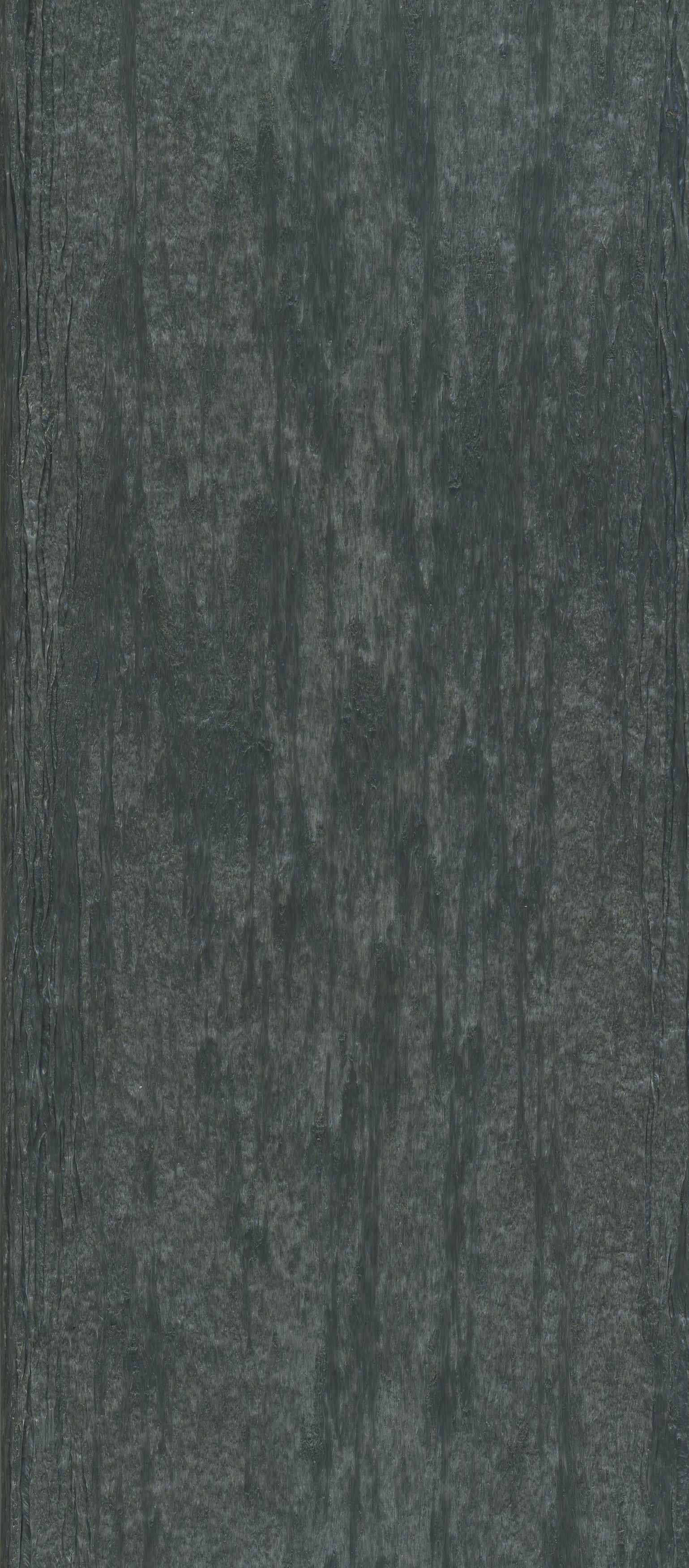 Close-up of a textured dark gray stone surface.