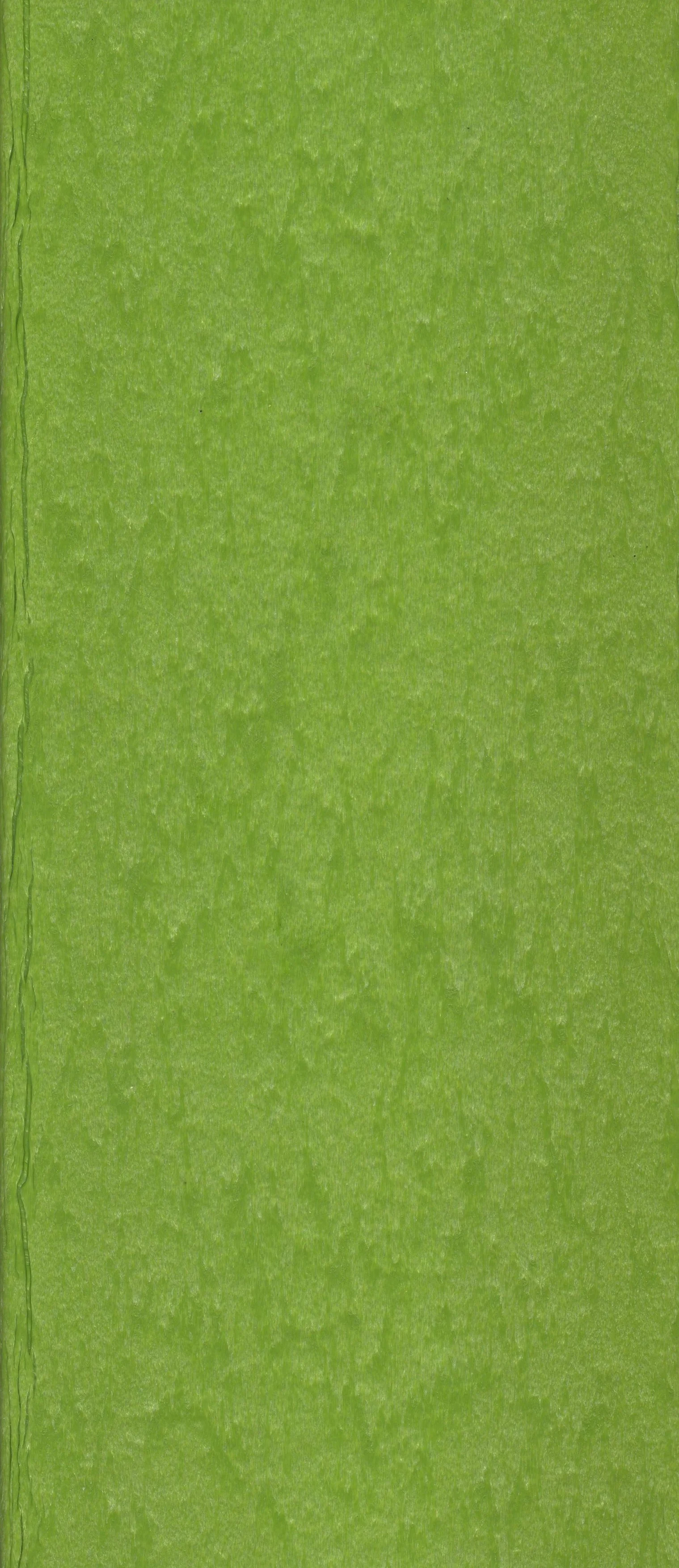 Lime Green.jpg