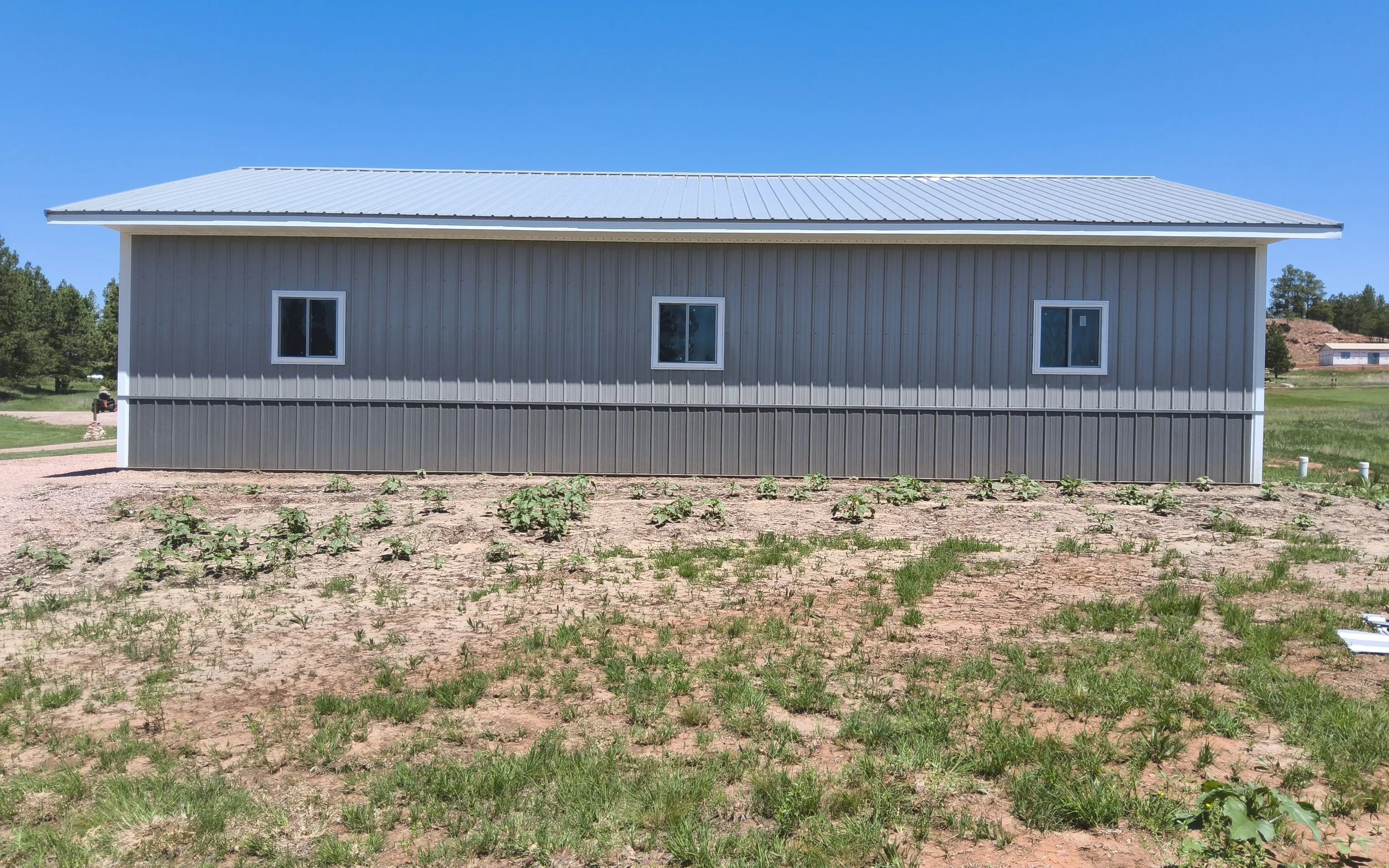 A newly constructed gray metal house with three windows on a dirt lot with sparse grass and plants, under a clear blue sky.