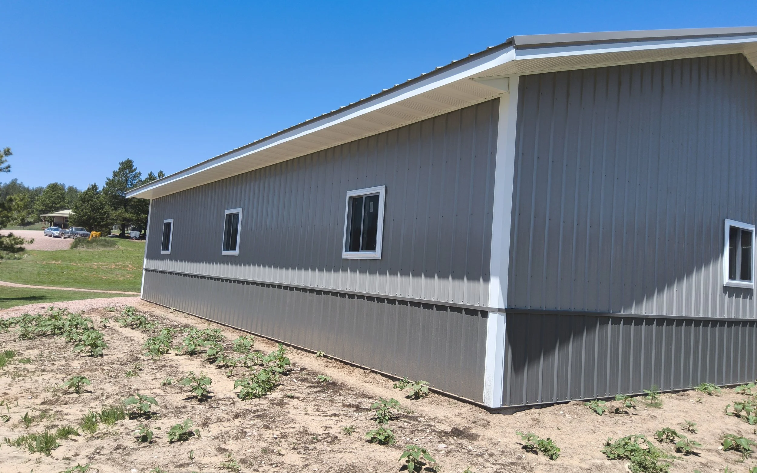 A metal-sided building with white window frames, situated on a patch of dirt with small plants, under a clear blue sky.