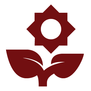 Icon image for Balanced Growth