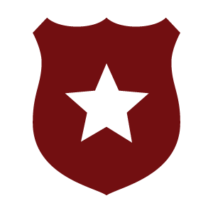 Icon image for Enhancing Safety