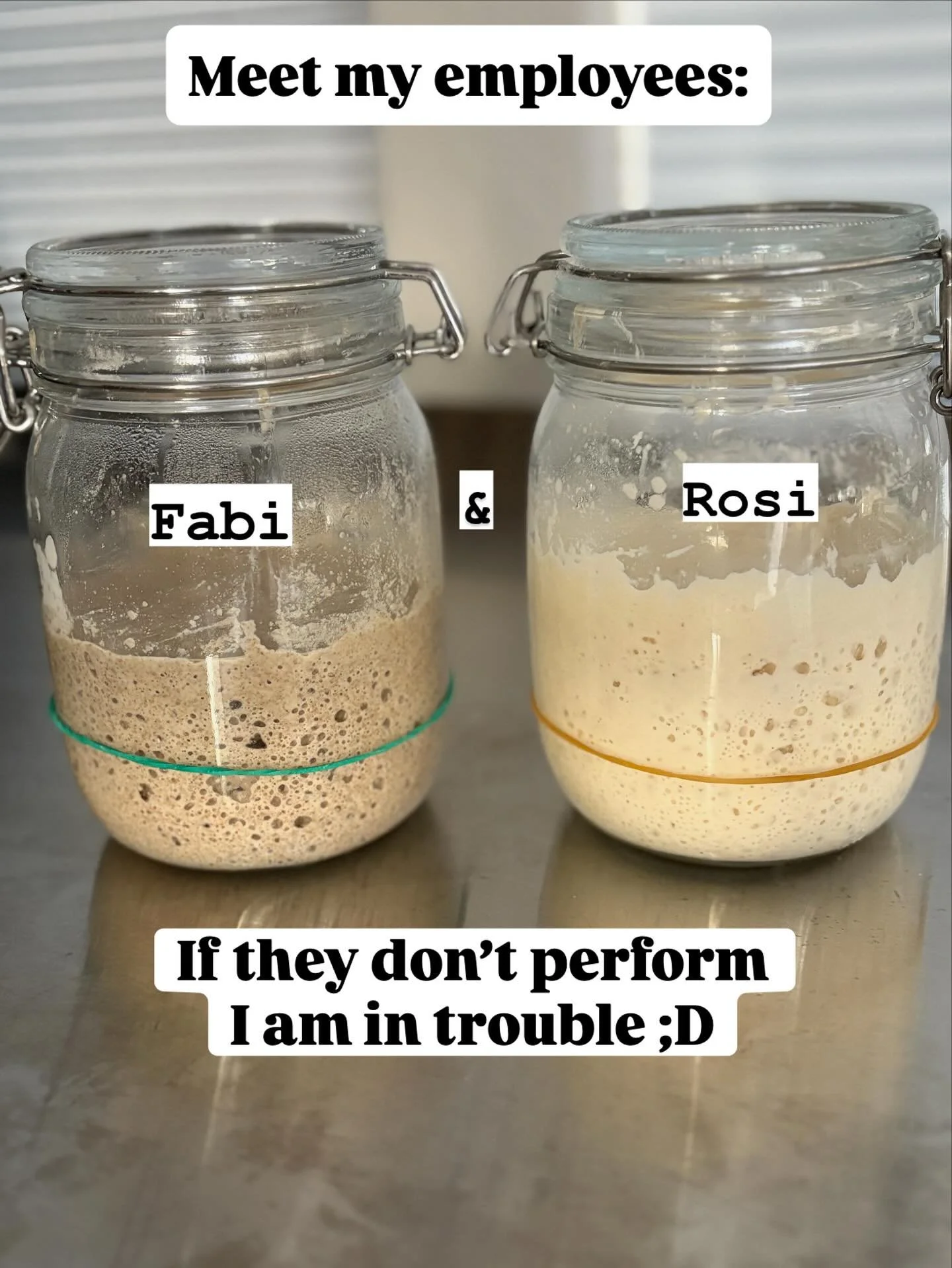 Meet my sourdough starters — Fabi (rye, bold and full of life) and Rosi (wheat, calm and dependable) 🧡 I promise to keep you both well-fed. Please don’t turn sour on me 😄
#sourdoughstarter #microbakery