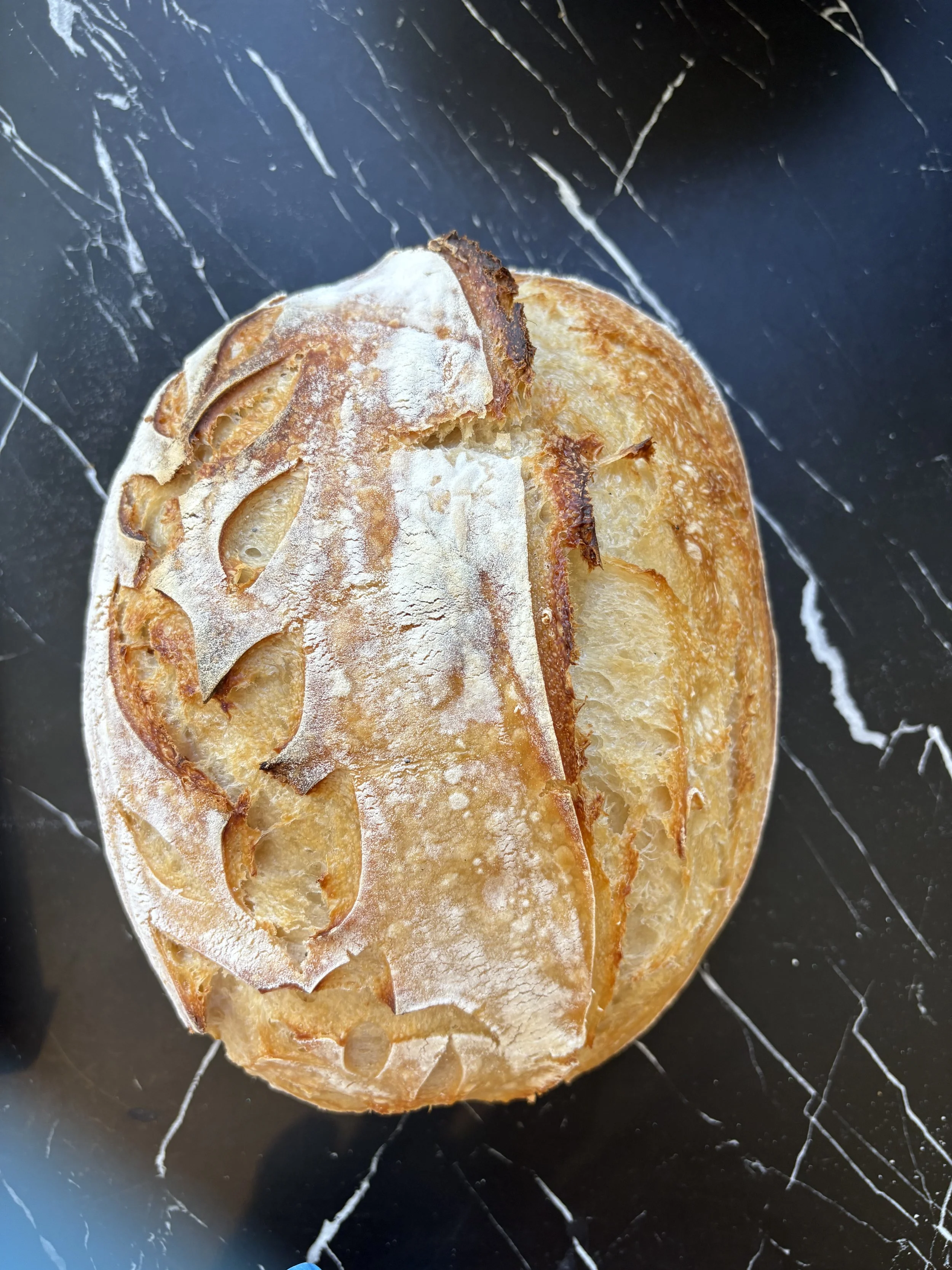 Sourdough Bread
