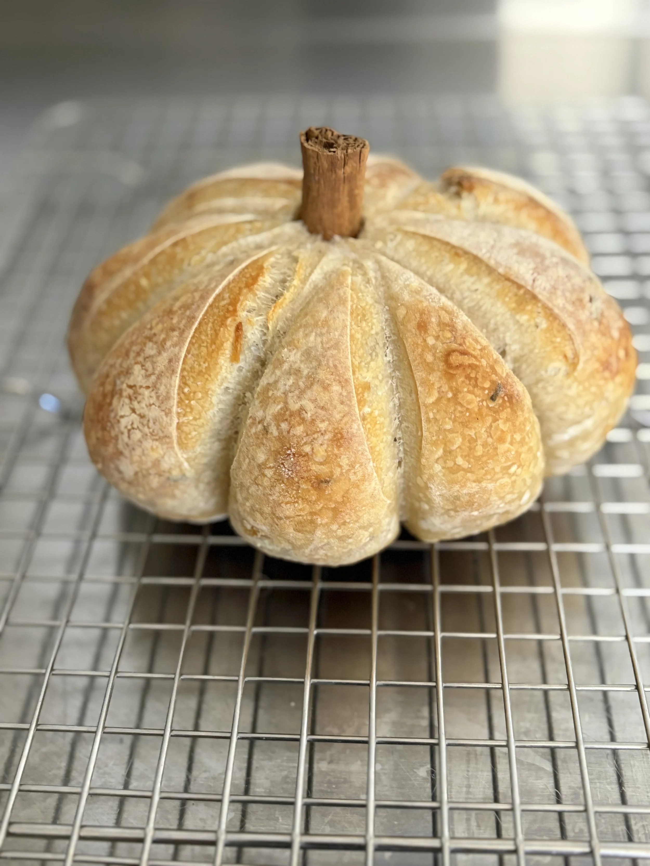 IMG_8060.jpeg (Copy)