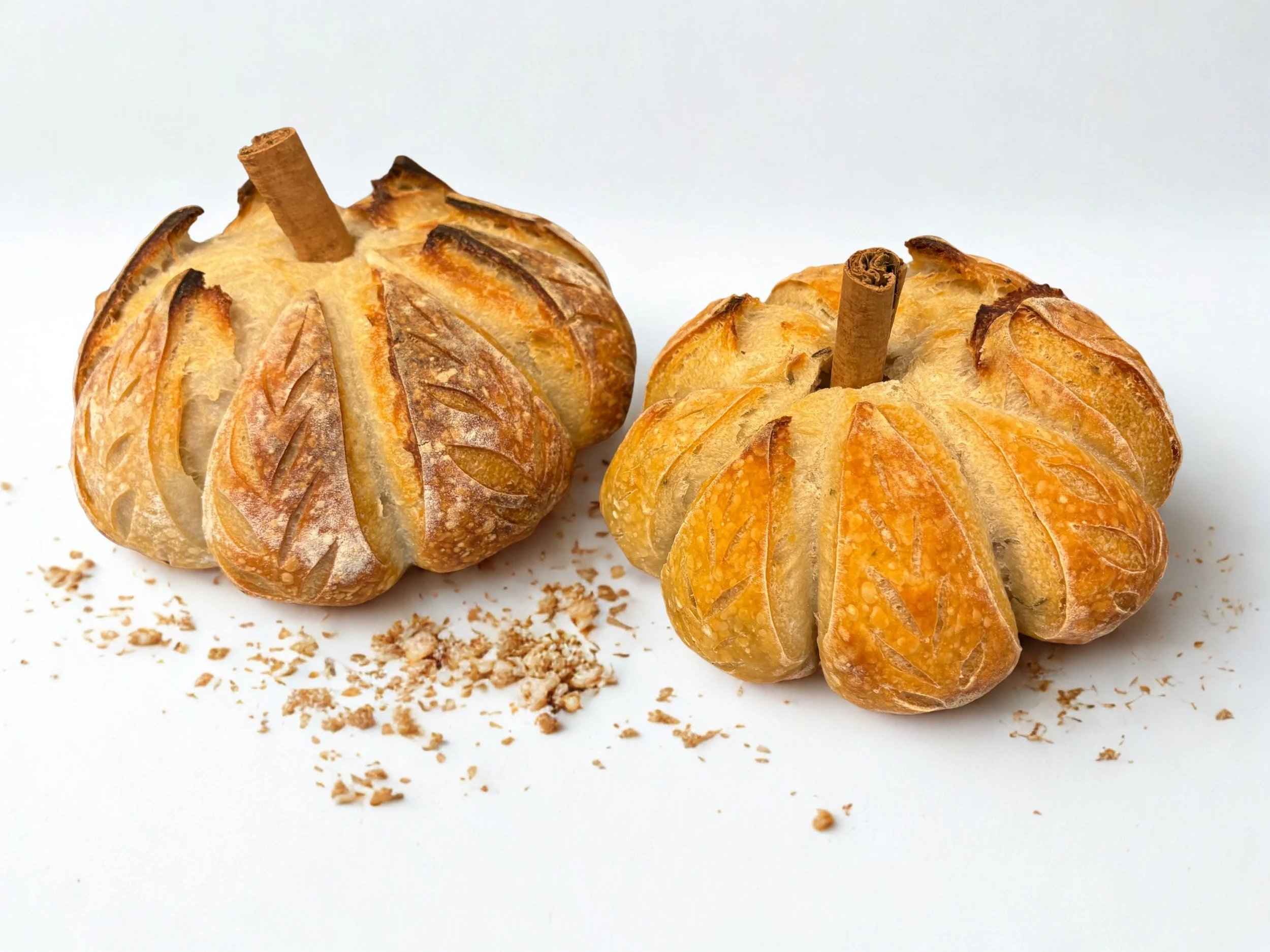 Untitled design (3).jpg