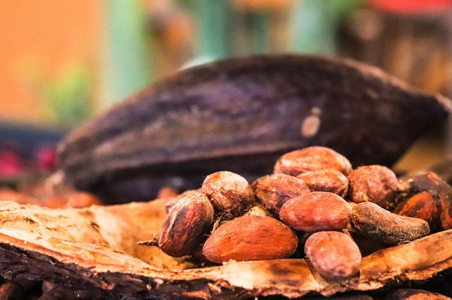 Cocoa Prices Rebound After West African Rainfall Shifts