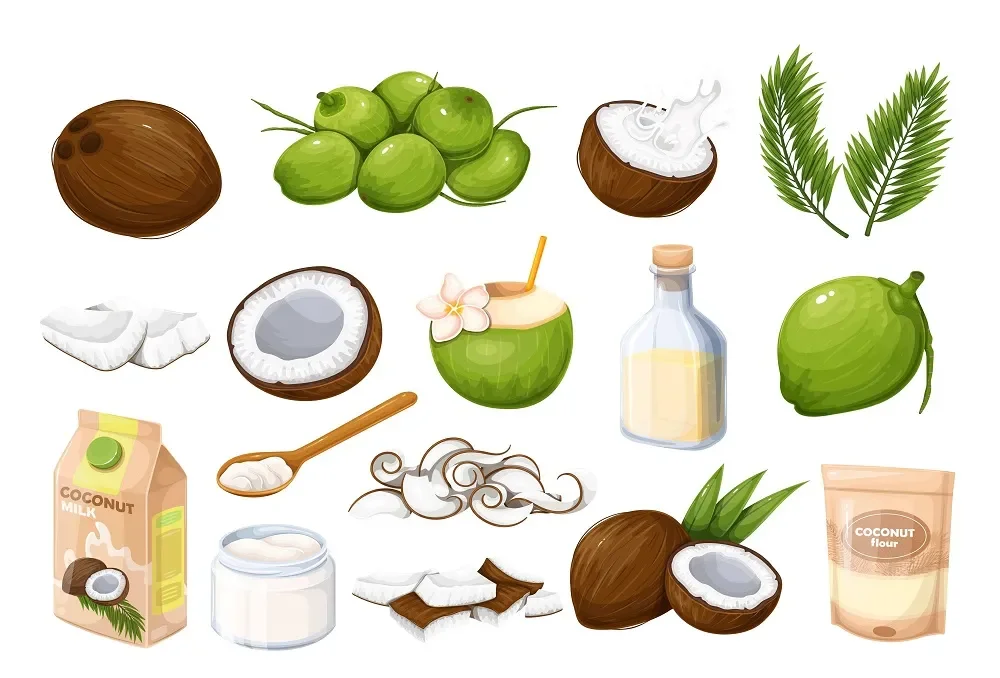 Coconut Bio-Innovation: Turning Waste into Wealth